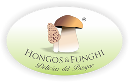 Hongos y Funghi